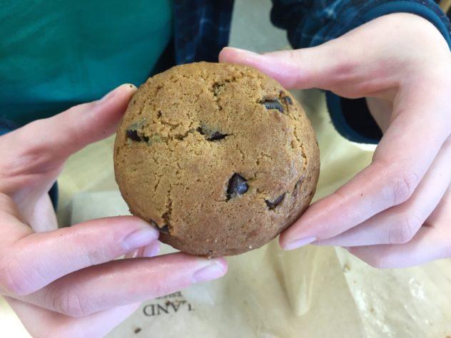 Fire Island Rustic Bakeshop Chocolate Chip Cookie