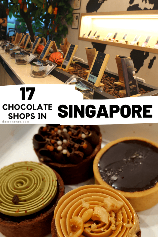 Singapore Chocolate guide pinterest pin 1